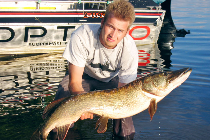 Fish and photo: Mikko Lampi and Lauri Ohvo