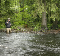Fly-fishing on Kotalan Kosket Rapids