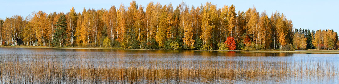 Tampereen Kalastusväline