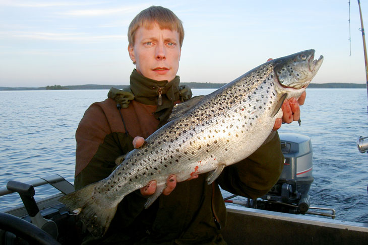 Fish and photo: Toni Björkman and Jarkko Rask
