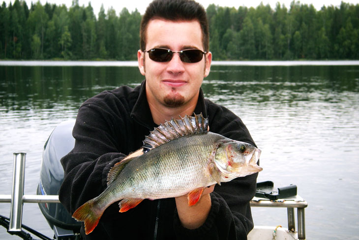 Fish and photo: Mikko Lampi
