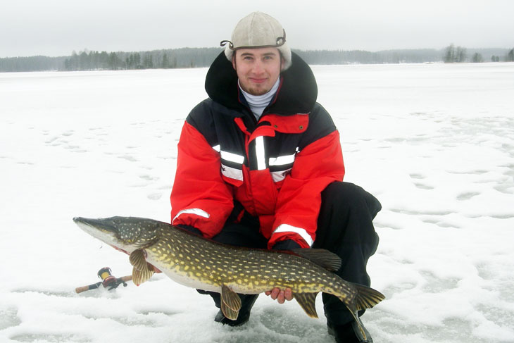 Fish and photo: Mikko Lampi