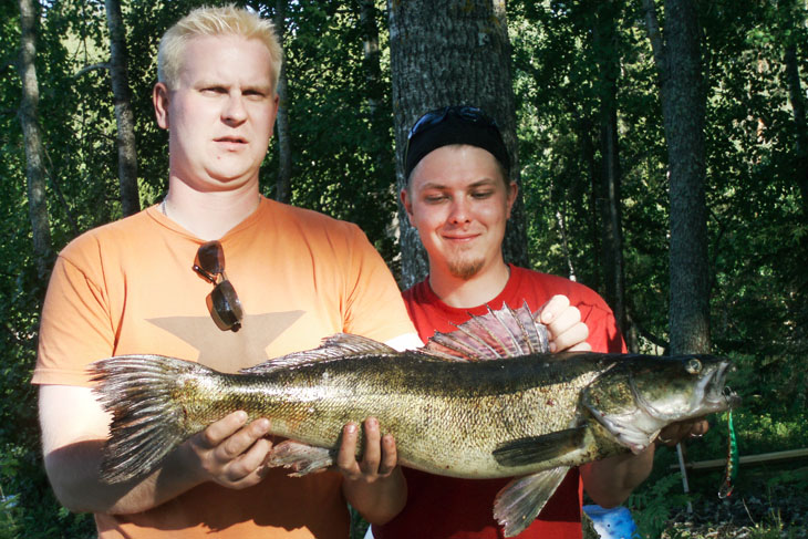 Fish and Photo: Harri Kolu and Mikko Jutila