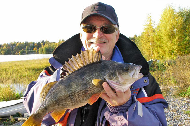 Fish and photo: Kalevi Lehtiniemi