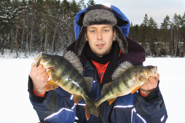 Fish and photo: Mikko Jussila