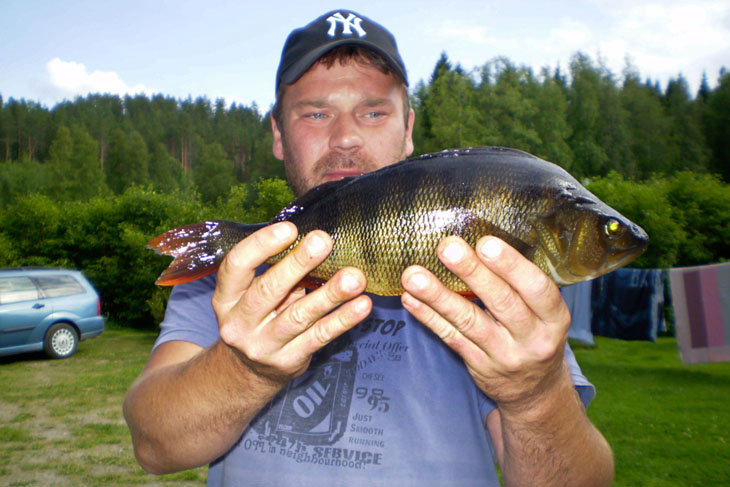 Fish and photo: Milo Kuokkanen