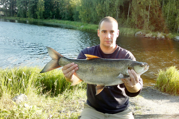 Fish and photo: Petri Laikko